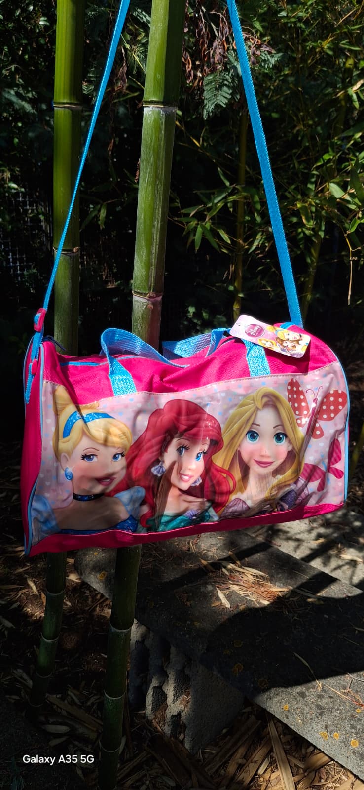 Borsone Disney 39cm Bambini - Varianti Cars e Principesse | DSN53461